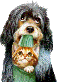 Chiens-Chats